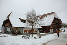  emmentaler schaukaeserei