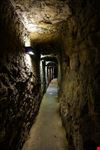  casemates