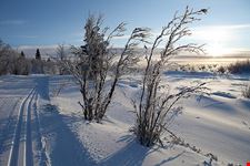  piste da sci