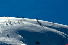  sulla neve a cavallo