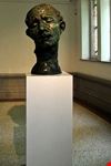  museo delle belle arti