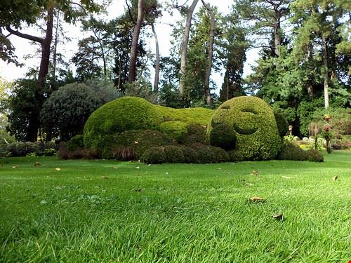 Jardin des plantes Nantes ChevillonW - Attribution-NonCommercial-ShareAlike (http://creativecommons.org/licenses/by-nc-sa/2.0/) ChevillonW