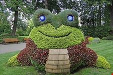  jardin des plantes