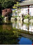  giardino giapponese
