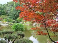  giardino giapponese