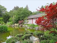  giardino giapponese