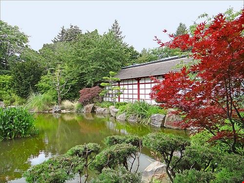Japanese Garden Nantes dalbera - Attribution License (http://creativecommons.org/licenses/by/2.0/) dalbera