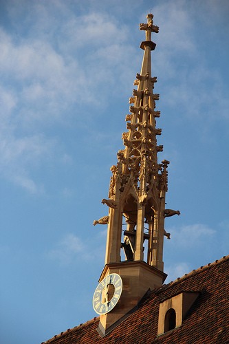  chiesa collegiata di san martino