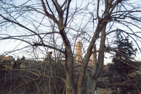  San Gimignano  