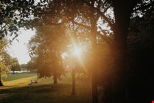  queen s park
