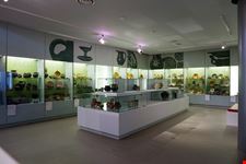  museo boijmans