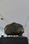  museo boijmans