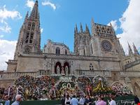  paseo del espolon