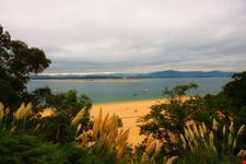  playa de el puntal