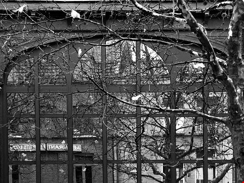  Lille Gerry Balding - Attribution-NonCommercial-NoDerivs (http://creativecommons.org/licenses/by-nc-nd/2.0/) Gerry Balding