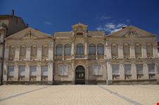  museo delle belle arti