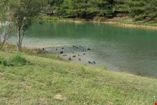  lac de la cavayere
