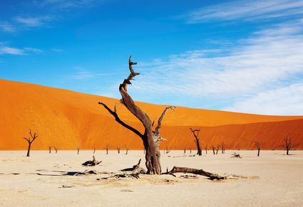 Scorcio del deserto