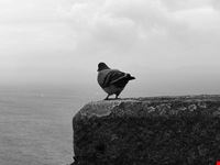  mirador de la guia