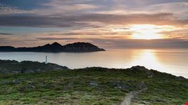  isole cies