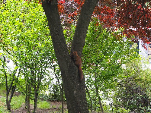 parco kalemegdan
