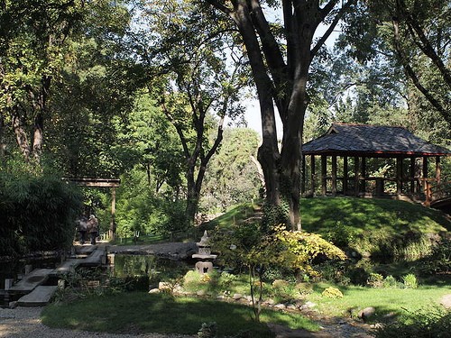  botanischer garten jevremovac