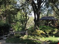 botanischer garten jevremovac