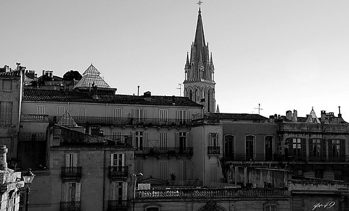  cattedrale di san pietro