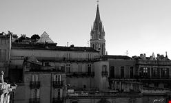  cattedrale di san pietro