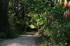 jardin des plantes