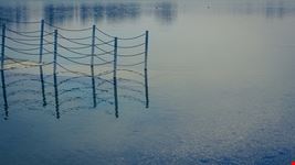  jarun lake