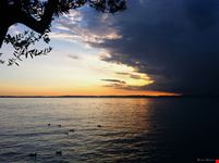  il lago di garda in battello