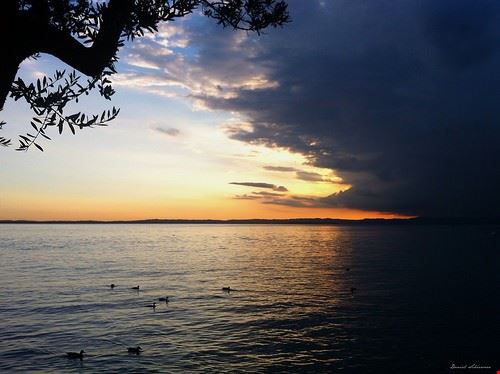 Il Lago di Garda in battello - daniel.schiersner - daniel.schiersner - Attribution License (http://creativecommons.org/licenses/by/2.0/)