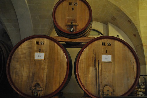  museo della civilta del vino primitivo