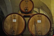  museo della civilta del vino primitivo