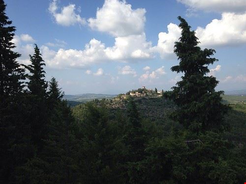  Greve in Chianti shearings - Attribution License (http://creativecommons.org/licenses/by/2.0/) shearings