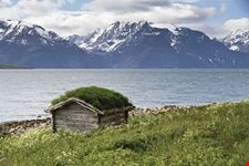 lyngen