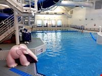  piscine comunali
