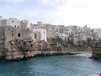  mare
