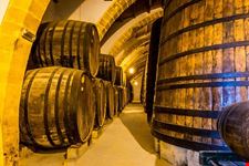  degustazioni e visita guidata alle cantine
