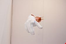  ente mostra nazionale di pittura contemporanea