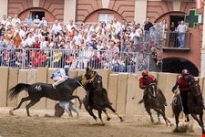 palio
