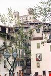 castello tra gli alberi