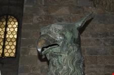 il grifo perugia
