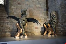 il grifo e il leone simboli di perugia perugia