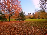  bute park