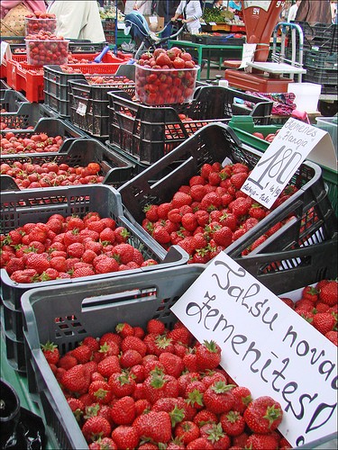  mercato centrale