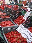  mercato centrale
