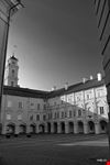  vilnius university