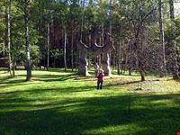  european park